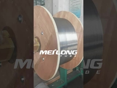 모세관 제어 라인 화학 주입 선