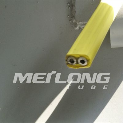 두 관  고압과 TP316L PVDF 캡슐화된 제어 라인 플랫팩