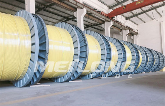 PVDF 12000M은 제어 라인 라운드 직사각형 모세관 코일 튜빙을 요약했습니다